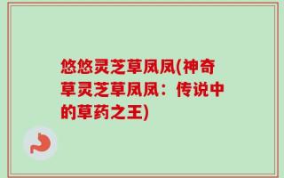 悠悠灵芝草凤凤(神奇草灵芝草凤凤：传说中的草药之王)