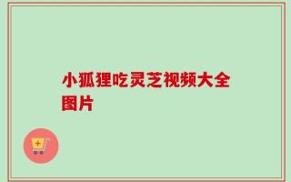 小狐狸吃灵芝视频大全图片