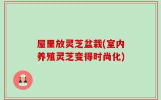 屋里放灵芝盆栽(室内养殖灵芝变得时尚化)