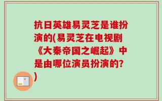 抗日英雄易灵芝是谁扮演的(易灵芝在电视剧《大秦帝国之崛起》中是由哪位演员扮演的？)