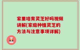 家里培育灵芝好吗视频讲解(家庭种植灵芝的方法与注意事项详解)