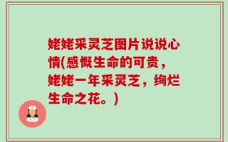 姥姥采灵芝图片说说心情(感慨生命的可贵，姥姥一年采灵芝，绚烂生命之花。)