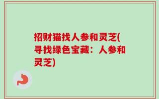招财猫找人参和灵芝(寻找绿色宝藏：人参和灵芝)
