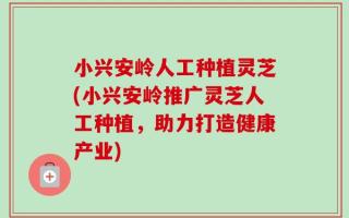 小兴安岭人工种植灵芝(小兴安岭推广灵芝人工种植，助力打造健康产业)
