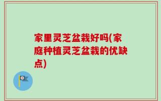 家里灵芝盆栽好吗(家庭种植灵芝盆栽的优缺点)