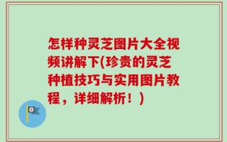 怎样种灵芝图片大全视频讲解下(珍贵的灵芝种植技巧与实用图片教程，详细解析！)