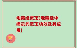 地藏经灵芝(地藏经中揭示的灵芝功效及其应用)