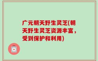 广元朝天野生灵芝(朝天野生灵芝资源丰富，受到保护和利用)