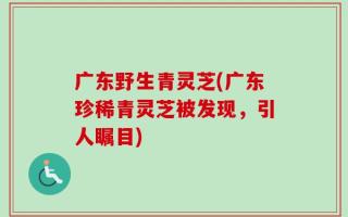 广东野生青灵芝(广东珍稀青灵芝被发现，引人瞩目)