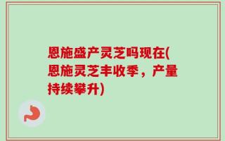 恩施盛产灵芝吗现在(恩施灵芝丰收季，产量持续攀升)