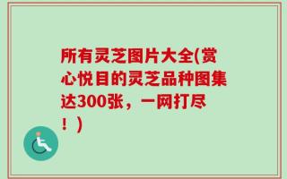 所有灵芝图片大全(赏心悦目的灵芝品种图集达300张，一网打尽！)