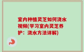 室内种植灵芝如何浇水视频(学习室内灵芝养护：浇水方法详解)