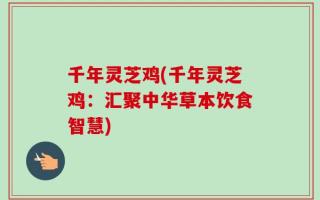 千年灵芝鸡(千年灵芝鸡：汇聚中华草本饮食智慧)