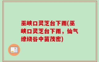 巫峡口灵芝台下雨(巫峡口灵芝台下雨，仙气缭绕谷中苗茂密)