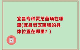 宜昌专种灵芝菌场在哪里(宜昌灵芝菌场的具体位置在哪里？)
