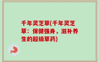 千年灵芝草(千年灵芝草：保健强身，滋补养生的超级草药)