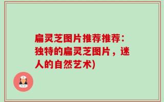 扁灵芝图片推荐推荐：独特的扁灵芝图片，迷人的自然艺术)