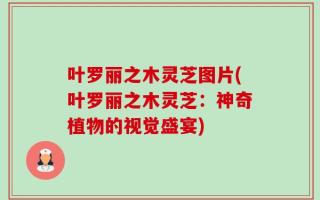 叶罗丽之木灵芝图片(叶罗丽之木灵芝：神奇植物的视觉盛宴)