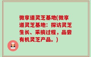 微享道灵芝基地(微享道灵芝基地：探访灵芝生长、采摘过程，品尝有机灵芝产品。)