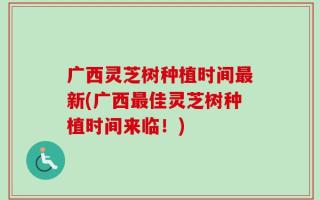广西灵芝树种植时间最新(广西最佳灵芝树种植时间来临！)