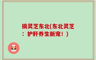 摘灵芝东北(东北灵芝：护肝养生新宠！)