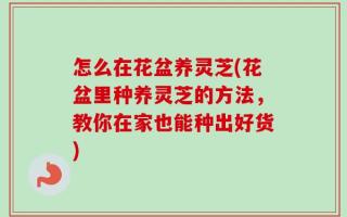 怎么在花盆养灵芝(花盆里种养灵芝的方法，教你在家也能种出好货)