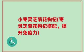 小枣灵芝菊花枸杞(枣灵芝菊花枸杞搭配，提升免疫力)