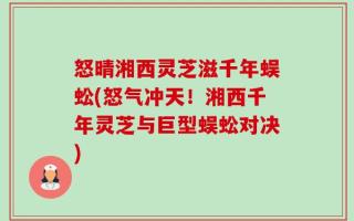 怒晴湘西灵芝滋千年蜈蚣(怒气冲天！湘西千年灵芝与巨型蜈蚣对决)
