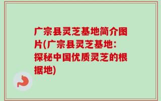 广宗县灵芝基地简介图片(广宗县灵芝基地：探秘中国优质灵芝的根据地)