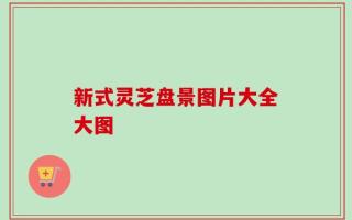 新式灵芝盘景图片大全大图