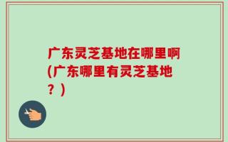 广东灵芝基地在哪里啊(广东哪里有灵芝基地？)