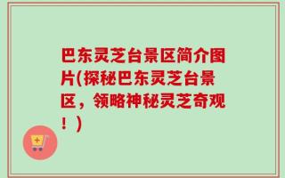 巴东灵芝台景区简介图片(探秘巴东灵芝台景区，领略神秘灵芝奇观！)