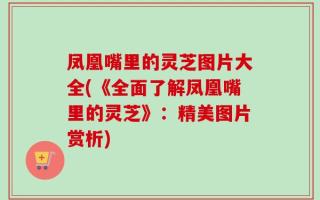 凤凰嘴里的灵芝图片大全(《全面了解凤凰嘴里的灵芝》：精美图片赏析)