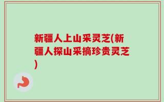 新疆人上山采灵芝(新疆人探山采摘珍贵灵芝)