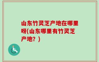 山东竹灵芝产地在哪里呀(山东哪里有竹灵芝产地？)
