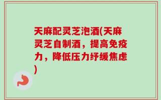 天麻配灵芝泡酒(天麻灵芝自制酒，提高免疫力，降低压力纾缓焦虑)