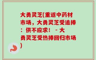 大勇灵芝(重返中药材市场，大勇灵芝受追捧：供不应求！ - 大勇灵芝受热捧回归市场)