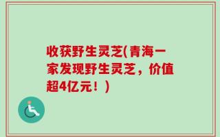 收获野生灵芝(青海一家发现野生灵芝，价值超4亿元！)