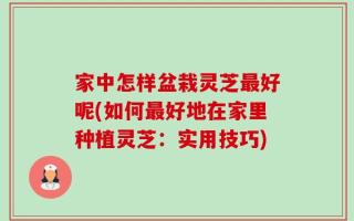 家中怎样盆栽灵芝最好呢(如何最好地在家里种植灵芝：实用技巧)