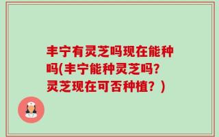 丰宁有灵芝吗现在能种吗(丰宁能种灵芝吗？灵芝现在可否种植？)