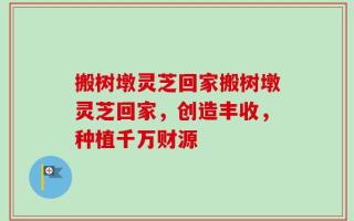搬树墩灵芝回家搬树墩灵芝回家，创造丰收，种植千万财源