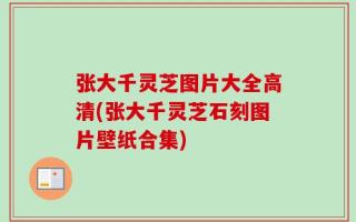 张大千灵芝图片大全高清(张大千灵芝石刻图片壁纸合集)