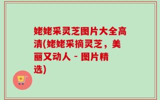 姥姥采灵芝图片大全高清(姥姥采摘灵芝，美丽又动人 - 图片精选)
