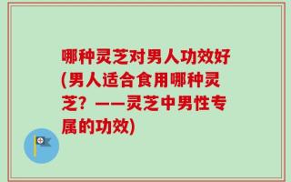 哪种灵芝对男人功效好(男人适合食用哪种灵芝？——灵芝中男性专属的功效)