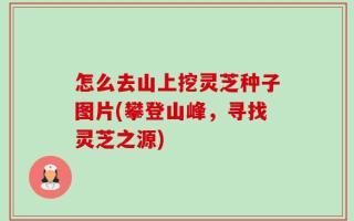 怎么去山上挖灵芝种子图片(攀登山峰，寻找灵芝之源)