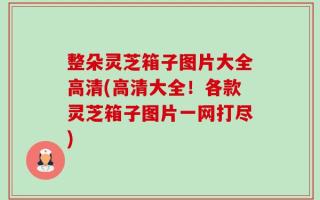 整朵灵芝箱子图片大全高清(高清大全！各款灵芝箱子图片一网打尽)