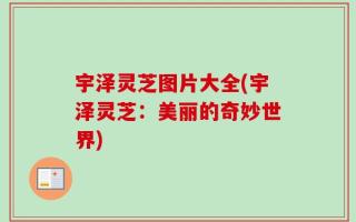 宇泽灵芝图片大全(宇泽灵芝：美丽的奇妙世界)