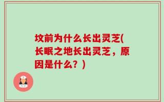 坟前为什么长出灵芝(长眠之地长出灵芝，原因是什么？)