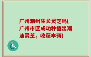广州潮州生长灵芝吗(广州市区成功种植出潮汕灵芝，收获丰硕)