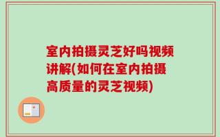 室内拍摄灵芝好吗视频讲解(如何在室内拍摄高质量的灵芝视频)